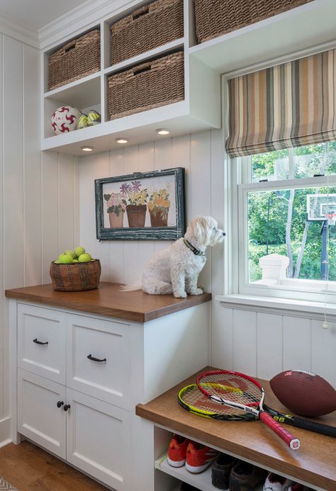 Mudroom Cabinet with counter. Making the most of small mudroom with cabinet, countertop and bench. #MudroomCabinet #MudroomCabinetcounter #Mudroom Taste Design Inc. Transitional Kitchen Cabinets, Mudroom Cabinets, Sports Storage, Transitional Interiors, Havanese Dog, Cabinetry Hardware, Entry Furniture, Home Bunch, Hardware Pulls