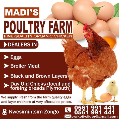 For all your professional digital graphic designs 0561991441 Poultry Farm Calendar Design, Chicken Poultry Farm Design, Pvc Chicken Feeder, Farm Logos, Poultry Farm Design, Farm Stickers, Poultry Farming, Day Old Chicks, Poultry House