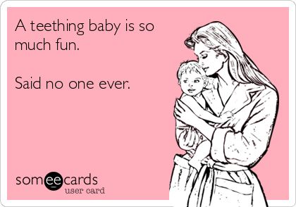 A teething baby is so much fun. Said no one ever. | Baby Ecard | someecards.com Teething Baby, Mommy Quotes, Mommy Time, Everything Baby, Mommy Life, Baby Teeth, True Life, Funny Baby, Someecards