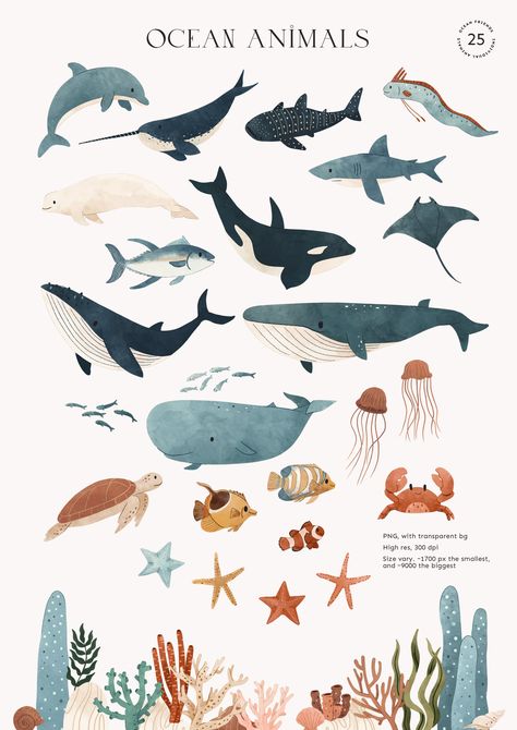 Fish Ocean Drawing, Ocean Elements Illustration, Sea Fish Illustration, Ocean Animal Drawings, Oar Fish, Sea Animals Illustration, Whale Shark Illustration, Under The Sea Illustration, Whales Illustration