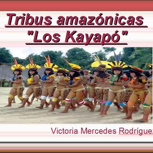 Tristres Trópicos: Los Kayapó | Wiki Loshumanitos | Fandom Amazon Tribe, Animal Gifs, Funny Animal Videos, Funny Animals, Baseball Cards, Funny