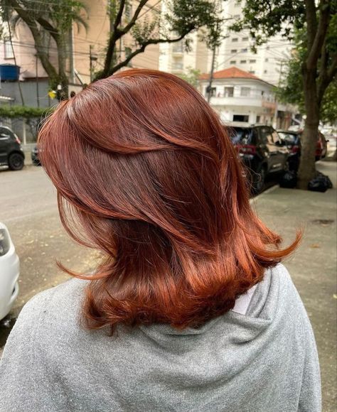 Cowboy Copper, Red Hair Inspo, Ginger Hair Color, Hair Color Auburn, Pretty Hair Color, Hair Appointment, Effortless Hairstyles, Hair Stylies, Auburn Hair