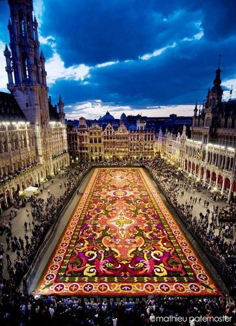 Carpet Of Flowers, Brussels, Belgium Grand Place, Brussels Belgium, To Infinity And Beyond, Future Travel, Travel Lover, Macedonia, Pretty Places, Places Around The World, Albania