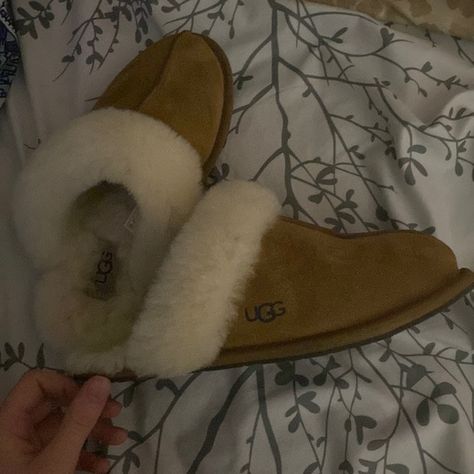 Ugg Scuffette Slippers Ugg Scuffette Slippers Outfit, Brown Ugg Slippers, Ugg Slippers Outfit, Ugg Scuffette Slippers, Slippers Outfit, Ugg Scuffette, Ugg Slippers, Chestnut Brown, Christmas 2023