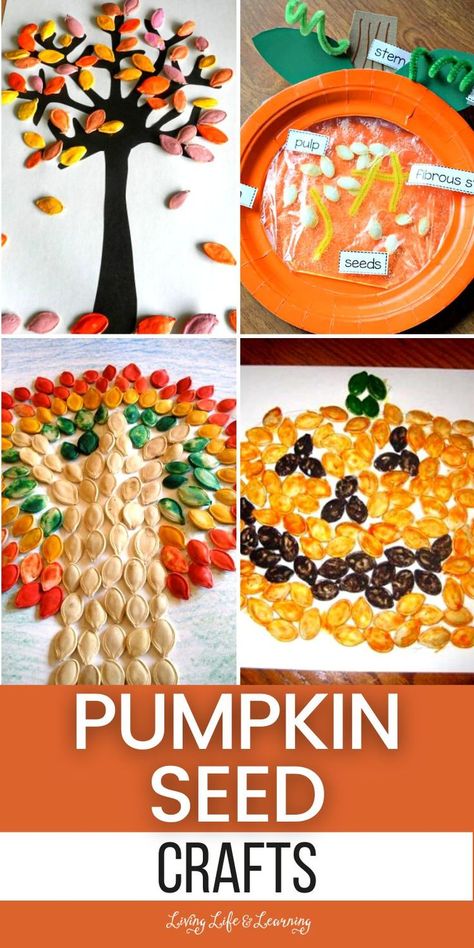 Pumpkin Seed Crafts Crafts With Pumpkin Seeds, Pumpkin Seed Craft, Pumpkin Seed Crafts For Kids, Pumpkin Seed Art, Seed Art For Kids, Pumpkin Seed Activities, Seed Activities For Kids, Seed Crafts For Kids, Pumpkin Seed Crafts