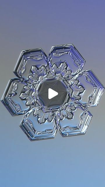 Snowflake photography by Alexey Kljatov Snowflake Real Macro Photography, Snowflake Real, Real Snowflakes, Snowflakes Real, Snow Crystal, Macro Photos, Macro Photography, Crystals, Photography