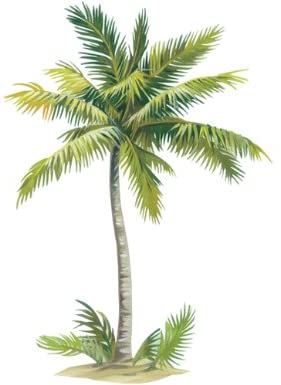 Palm Tree Drawing, Tree Photoshop, Palm Tattoos, Mural Home, Palm Trees Painting, Trees Painting, Palm Tree Art, Palm Tree Tattoo, Tree Sketches