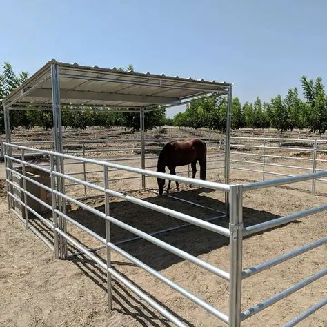 Horse Fence Panels Circular Tube Livestock Cattle Panels Horse Corral Panels Easily Assembled Sheep And Goat Farm Horse Panel Fence, Horse Corral Ideas, Horse Fence, Sheep And Goat, Horse Corral, Cattle Panels, Horse Fencing, Goat Farm, Goat Farming