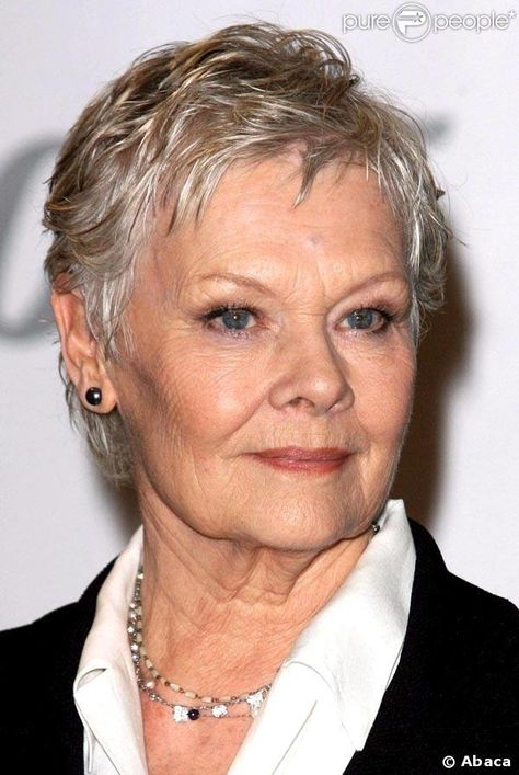 Judi Dench Judy Dench Hair, Judy Dench, Southern Humor, Short Pixie Bob, Pixie Bob Haircut, Annie Lennox, Judi Dench, Short Grey Hair, Helen Mirren