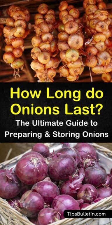 Whole onions can last two months at room temperature with proper ventilation, while cut onions can be kept in the fridge for a few days if they are in a plastic bag. Our storage methods show you how to keep onions from sprouting and rotting. #storingonions #howlongdoonionslast #onionstoragelife Soil For Vegetable Garden, Store Onions, Tomato Worms, Storing Onions, Storing Food Long Term, Onion Sprouts, Types Of Onions, Onion Storage, Quick Pickled Onions