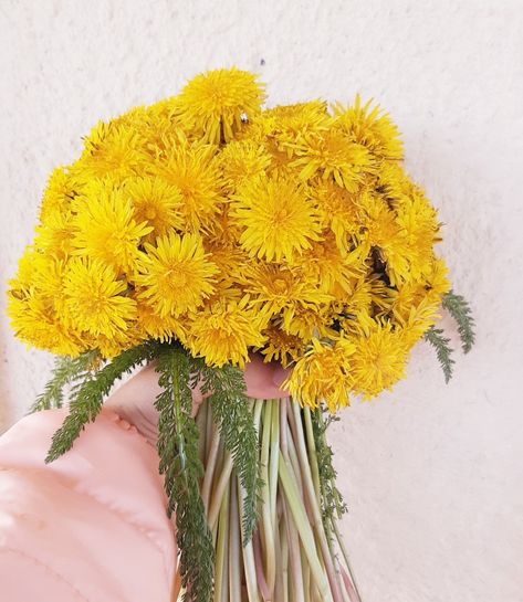 Dandelion Flower Bouquet, Dandelion Bouquet Aesthetic, Dandelion Wedding Bouquet, Dandelions Bouquet, Bouquet Of Dandelions, Dandelion Bouquet, Dandelion Wedding, Dandelion Yellow, Dandelion Flower