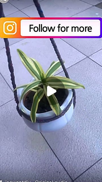 Jagwant Singh on Instagram: "Hang Pots easily now #gardening #garden #flowers #plants #nature #gardenlife #flower #gardendesign #growyourown #gardener #plantsofinstagram #naturephotography #gardeninspiration #growyourownfood #gardens #photography #green #plant #organic #mygarden #flowerstagram #flowersofinstagram #homegrown #gardenlove #plantsmakepeoplehappy #love #landscaping #landscape #organicgardening #gardensofinstagram" How To Hang Flower Pots, Pot Hanging Ideas, How To Hang Plants, Hanging Plants Ideas, Gardens Photography, Hanging Flower Pots, Plants Nature, Hanging Pots, Grow Your Own Food