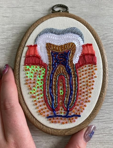 Biology Embroidery, Anatomical Embroidery, Medical Embroidery, Hygiene School, Sashiko Mending, Robert Wun, Dental Business, Biodiversity Conservation, Dental Hygiene School