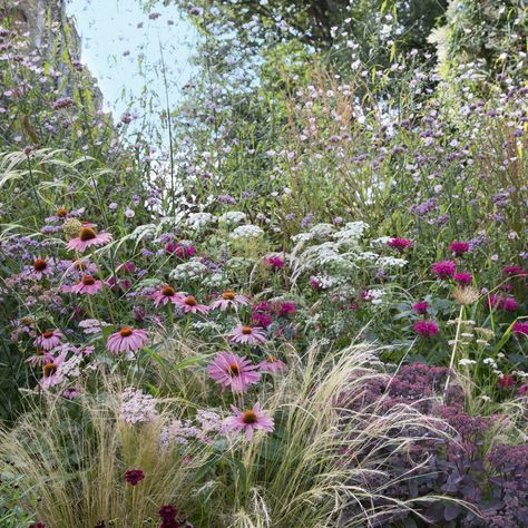 Planting Colour Schemes, Crocosmia Combinations, Planting Schemes Uk, Prairie Garden Design, Garden Colour Schemes, Matrix Gardening, Monochromatic Garden, Garden Color Scheme, Meadow Planting