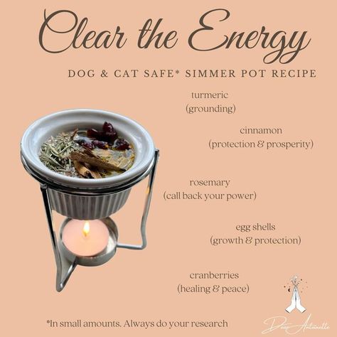 Simmer Pot Kits, Simmer Pots, Simmer Pot Recipes, Witchy Kitchen, Kitchen Witch Recipes, Potpourri Recipes, Magickal Herbs, Simmer Pot, Highest Self