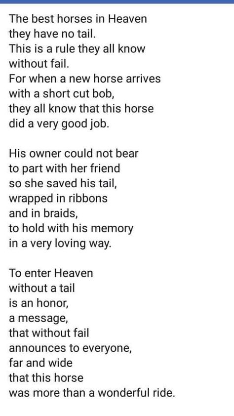 Horse Sympathy Quotes, The Best Horses In Heaven Have No Tail Poem, Horse Memorial Quotes, Poems About Horses, Losing A Horse Quotes, Horse Poems, Horse Remembrance, Horse Memory, Passing Quotes