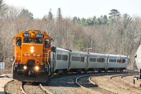 Passenger train service could return to Ontario’s cottage country Go Transit, Ontario Cottages, Toronto Architecture, Passenger Train, Northern Ontario, Train Route, North Bay, Train Service, Cottage Life