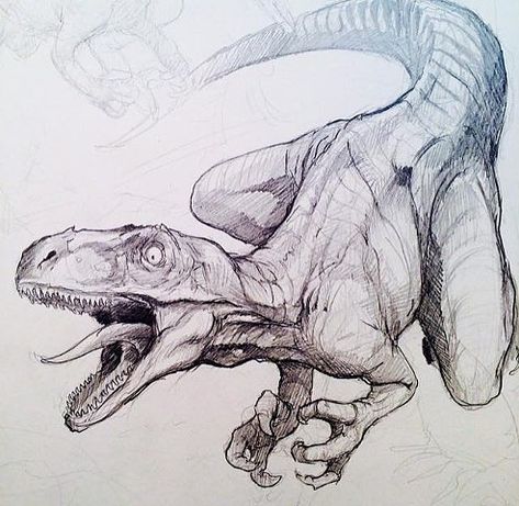 Dinosaur Sketch Realistic, Dinosore Drawing, Dinosaur Tattoo Design, Velociraptor Drawing, Dinosaur Reference, Dino Drawing, Prehistoric Animals Dinosaurs, Dinosaur Tattoo, Dinosaur Sketch