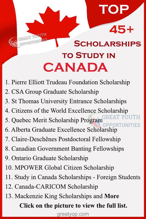 Top 45+ Scholarships to Study in Canada Scholarships For Graduate Students, Immigration To Canada, Canada Information, Scholarships For College Students, Graduate Scholarships, Undergraduate Scholarships, Study Abroad Scholarships, Study In Canada, Canadian Culture