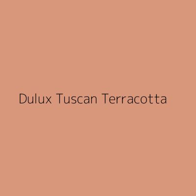 Dulux Tuscan Terracotta Tester, 30ml Tuscan Orange Paint, Terracotta Paint Uk, Dulux Terracotta Paint, Sunbaked Terracotta Dulux Paint, Dulux Paint Colours Terracotta, Light Burnt Orange Paint, Dulux Tuscan Terracotta, Pale Terracotta Paint, Colours That Go With Terracotta