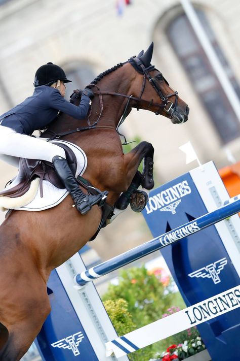 longines global champions tour de chantilly English Horseback Riding, Global Champions Tour, Jumping Horse, Show Jumping Horses, Beautiful Horse Pictures, Cute Ponies, Horse Wallpaper, Horse Aesthetic, English Riding