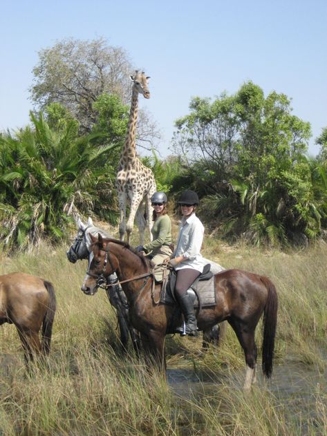 Horseback Safari, Riding Holiday, Safari Chic, African Wild Dog, Most Beautiful Animals, Africa Safari, On Horseback, Out Of Africa, Game Reserve