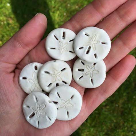 Carolina Rose, Clay Magnets, Sculpture Art Clay, Air Dry Clay Projects, Vacation Itinerary, Clay Diy Projects, Daily Activity, Sand Dollars, Pottery Crafts