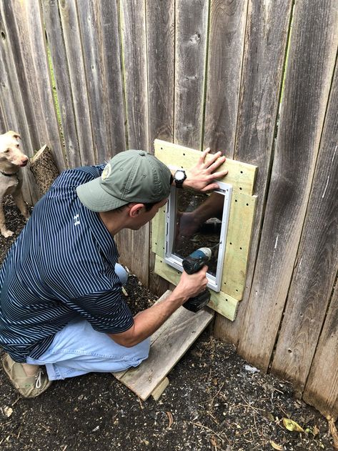 Family Adds Doggy Door To Fence So Dog Can Play With Her Neighbor - The Dodo Doggy Door, Doggie Door, Pet Door, Faith In Humanity Restored, Humanity Restored, Everyday Heroes, Dog Door, The Fence, Faith In Humanity