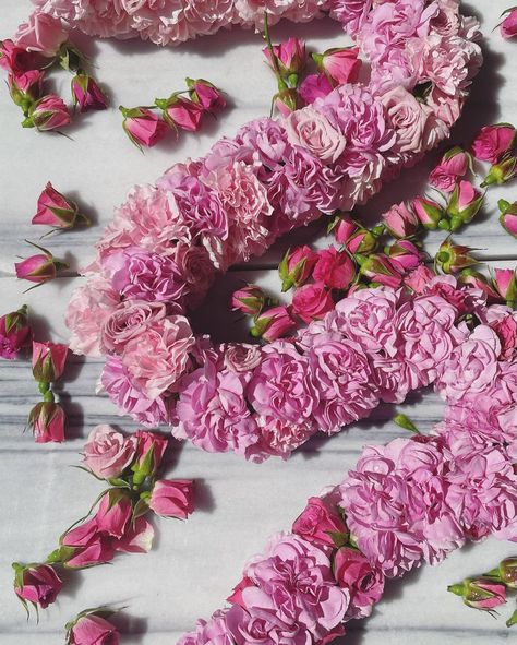 Carnation Lei, Make A Lei, Rose Lei, Lei Hawaii, Mini Carnations, Flower Farmer, Graduation Diy, Rose Bud, Hawaiian Flowers