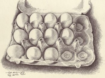 Edm_93_egg_carton_1 Art Igcse, Egg Drawing, Draw Cars, Pencil Drawing Ideas, Vegetable Drawing, Food Art Painting, A Level Art Sketchbook, Observational Drawing, Food Artwork