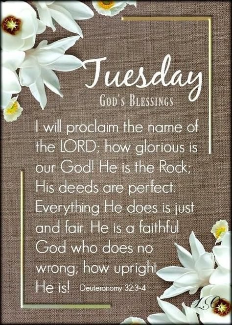 Tuesday Bible Verse, Servants Heart, Tuesday Quotes Good Morning, Tuesday Greetings, Tuesday Blessings, Bible Verse For Today, Encouraging Thoughts, Monday Blessings, Bible Verses For Women