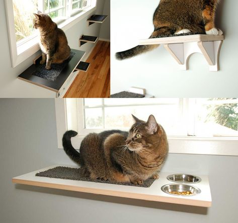 Cat And Dog Food Station, Cat Feeding Shelf Diy, Cat Food Shelf, Elevated Cat Food Station, Elevated Cat Feeding Station Dog Proof, Cat Food Station Dog Proof, Cat Feeder Dog Proof, Elevated Cat Feeding Station, Cat Feeding Station Dog Proof