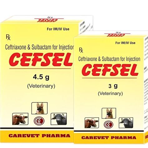 CEFSEL Injection - Advanced Ceftriaxone & Sulbactam Antibiotic for Tough Infections #CEFSELInjection #CeftriaxoneSulbactam #VeterinaryAntibiotic #BroadSpectrumAntibiotic #SevereInfections #MastitisTreatment #BoneJointInfections #UrinaryTractInfections #PostOperativeCare #BacterialInfections #AnimalHealth #RapidAbsorption #LongLastingAntibiotic #EffectiveTreatment #VeterinaryCare #AntibioticInjection #AnimalMedicine #SevereInfe - https://kamapet.com/cefsel-injection/ -KAMA PET SHOP---CEFSEL In... Product Composition, Animal Medicine, Bacterial Infection, Veterinary Medicine, Urinary Tract, Pet Health, Pet Shop, Medicine, Swift