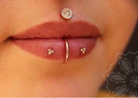 The Association of Professional Piercers on Instagram: “Here’s something you don’t see every day. APP member Taryn Dahlgren (@omgsquee) perfectly executed these healed inverse vertical labrets,…” Unique Lip Piercings, Vertical Philtrum Piercing, Inverse Vertical Labret, Vertical Labret Jewelry, Labret Piercing Jewelry, Hi Images, Deep Tattoo, Vertical Labret Piercing, Vertical Labret