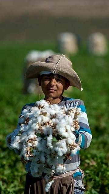 Harran TURKEY Cotton Picker, Salt Of The Earth, Raw Beauty, Photojournalism, Real People, Middle East, Picture Video, Beautiful People, Charms