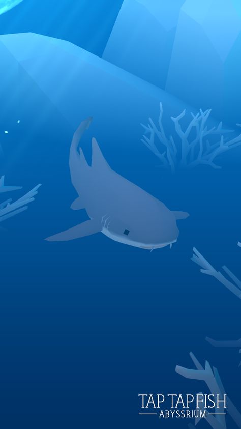 My Nurse Shark:)  #taptapfish Download: http://onelink.to/jhe4sh Nurse Shark Wallpaper, Nurse Shark Drawing, Shark Pictures, Shark Drawing, Nurse Shark, Shark Art, Cute Shark, Marine Biology, Whale Shark