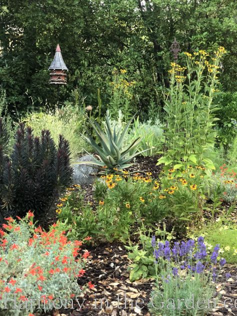 Backyard Pollinator Garden, Native Perennial Garden, Native Garden Design, Pollinator Garden Layout, Pollinator Garden Design, Deer Resistant Perennials, Prairie Planting, Low Water Gardening, Pollinator Plants