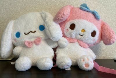 Cinnamon Roll And My Melody, Totoro Plush, Orange And White Cat, Kidcore Aesthetic, Soft Pink Theme, Yami Kawaii, Friend Anime, Hello Kitty Items, Pink Themes