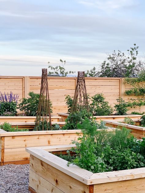 Mcgee Garden, Cedar Raised Garden Beds, Backyard Area, Garden Life, Beautiful Farm, Veg Garden, Rooftop Garden, Studio Mcgee, Home Modern