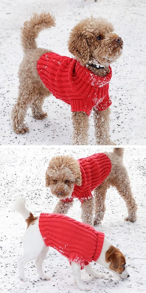 Comfy Knit Dog Sweater Patterns for Pleasant Winter Walks Dog Jumper Pattern, Dog Jumper Knitting Pattern, Knitting Patterns For Dogs, Knitted Dog Sweater Pattern, Dog Sweater Crochet Pattern, Dog Sweater Pattern, Small Dog Sweaters, Crochet Tutorial Pattern, Crochet Dog Sweater