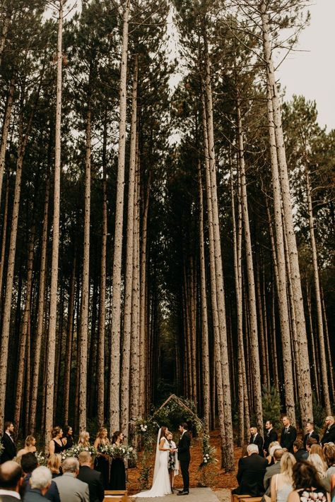 Outdoor Ceremony - Pinewood Weddings and Events Wisconsin Wedding Ideas, Minnesota Outdoor Wedding Venues, Wisconsin Outdoor Wedding, Wisconsin Wedding Venues Outdoor, Wisconsin Wedding Venues, Bride And Groom Silhouette, Wedding Designers, Photography Simple, Minnesota Wedding Venues