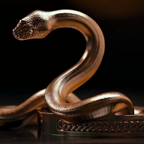 Golden Snake Aesthetic, Pharoah Aesthetic, Gold Snake Aesthetic, Mena Aesthetic, Dark Gold Aesthetic, Gold And Black Aesthetic, Cleopatra Aesthetic, Snake Aesthetic, Ancient Egypt Aesthetic