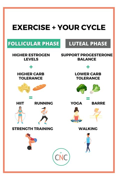 EP83: How to best fuel your workouts in the follicular and luteal phases Follicular Phase Workout, Luteal Phase Workout, Cycle Synching, Period Tracking, Cycle Phases, Menstrual Cycle Phases, Hiit Running, Follicular Phase, Endo Warrior