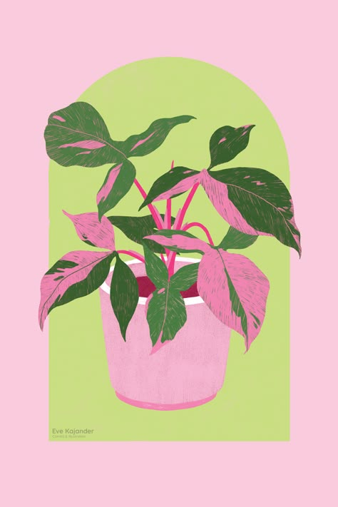 Syngonium Pink Splash, Pink Splash, Plant Art Print, Poster Room, Plant Painting, Plant Drawing, Arte Inspo, Plant Illustration, Plant Art