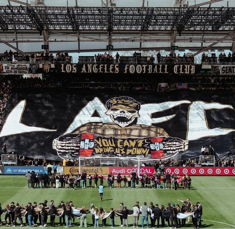 Los Angeles Football Club (@lafc) • Instagram photos and videos Los Angeles Football Club, Clubbing Aesthetic, Football Wallpaper, Urban Photography, Football Club, Angeles, Football, Instagram Photos, Photo And Video