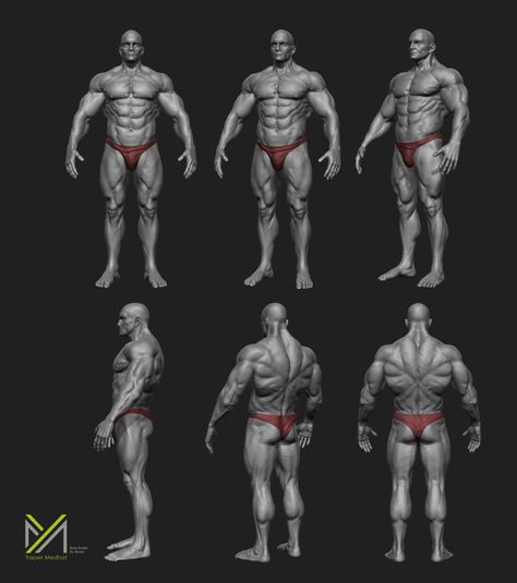 Body Builder by Yasser Medhat, via Behance Body Builder Art, Body Builders Men, Zbrush Anatomy, Human Anatomy Reference, Human Anatomy For Artists, Anatomy Sculpture, Human Anatomy Drawing, Human Figure Drawing, 남자 몸