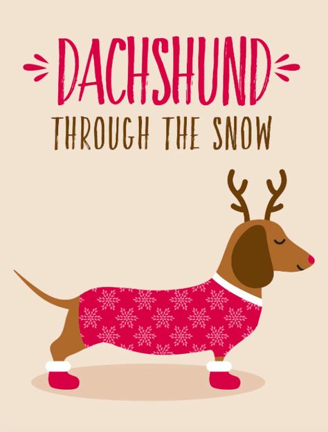 Dog Christmas Quotes, Puppy Christmas Card, Sausage Dog Christmas, Crusoe The Celebrity Dachshund, Dachshund Through The Snow, Pink Obsession, Dachshund Quotes, Dog Christmas Card, Sausage Dogs