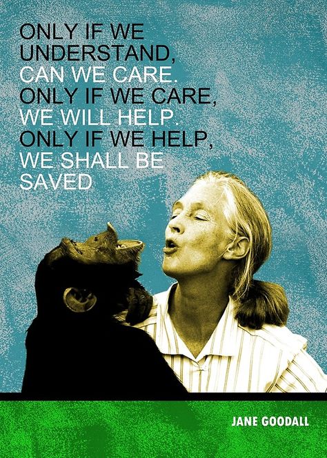 Jane Goodall Quote, Jane Goodall Quotes, Scientific Poster, Famous Scientist, Jane Goodall, Animal Rights Activist, Animal Advocacy, Quote Stickers, Save Earth