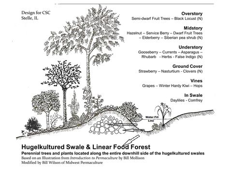 this is so what i'm doing on my hill..only not that deep of a swale...and i'll be feeding the wild life. Food Forest Garden, Simple Video, Forest Plants, Permaculture Gardening, Permaculture Design, Plant Nutrients, Food Forest, Forest Garden, Food Garden