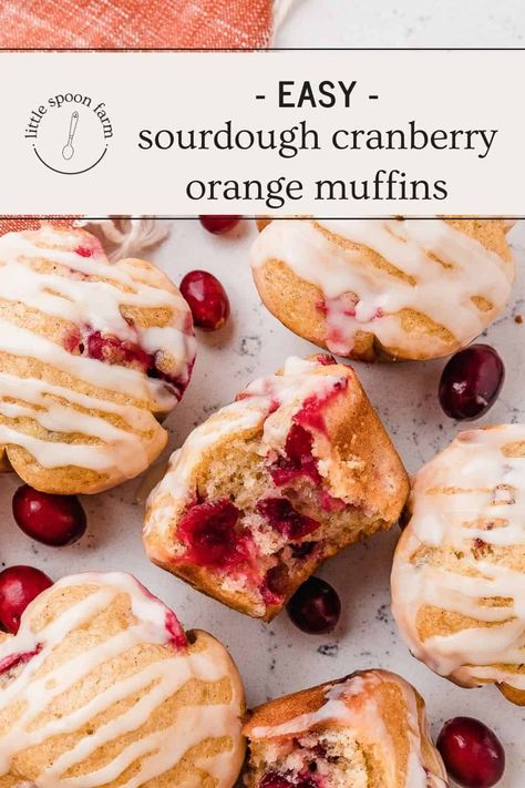 Sourdough Cranberry Orange Muffins Easy Sourdough Discard Muffins, Sourdough Discard Muffins, Cranberry Orange Muffin Recipe, Easy Breakfast Bake, Orange Muffin Recipe, Sourdough Muffins, Cranberry Orange Bread, Cranberry Orange Muffins, Sourdough Starter Discard Recipe